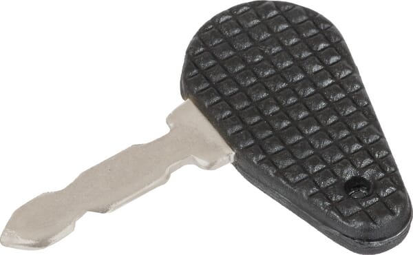 Zündschlüssel 883930M1 Zündschlüssel