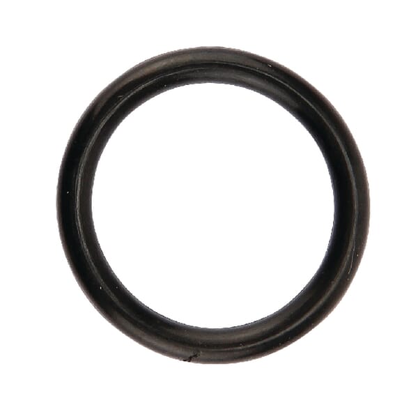 O-Ring 17,13x2,62 12100046