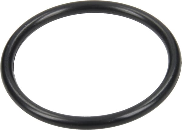 O-Ring 12100030