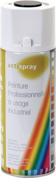 Etesia Sprühdose Schwarz #ET25913