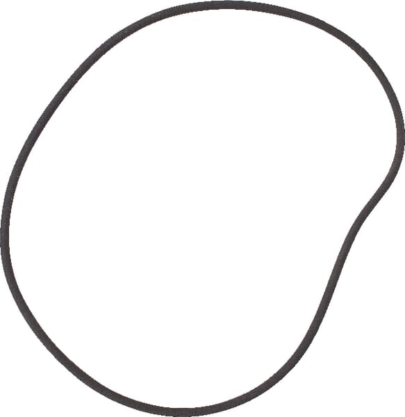 SDF O-Ring Bremse 215322530