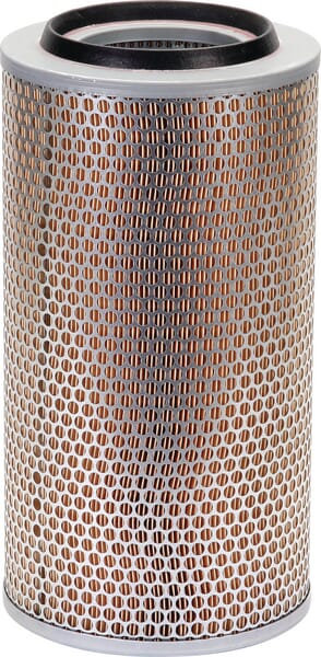 Luftfilterelement C203252