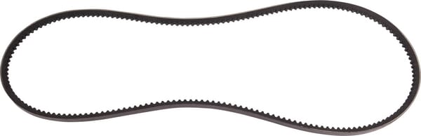 SDF Riemen 000709670