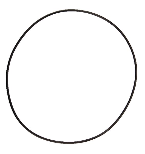 O-Ring 145,72x2,62 12100353