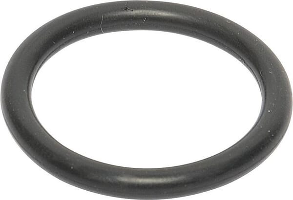 O-Ring 31,5x4,25 AR R001063