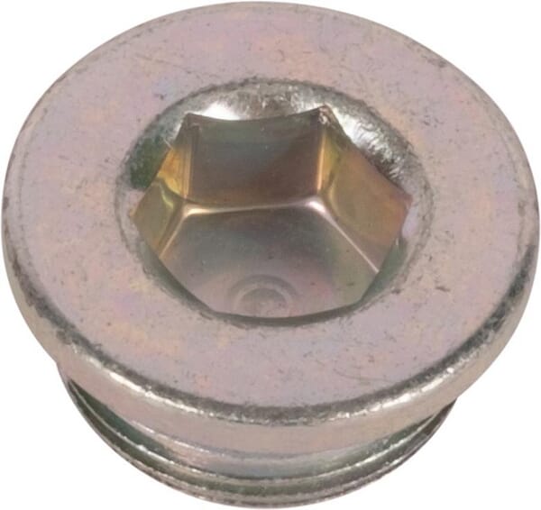 Raico Stopfen M.22X1.5 231200024N