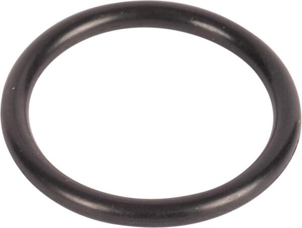 Unbranded O-Ring 215300580N