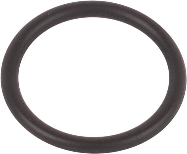 Raico O-Ring 246690707N
