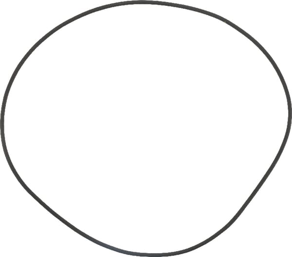 SDF O-Ring 215302940