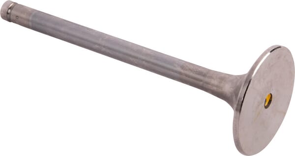 SDF Einlassventil 001060170