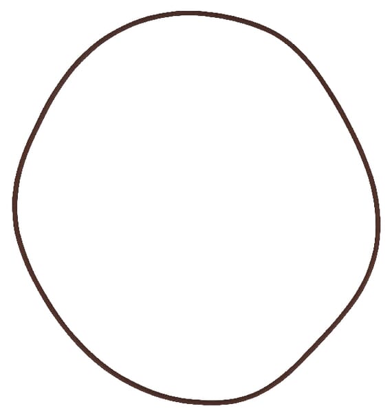 Massey Ferguson (AGCO) Bremse O-Ring 215391180