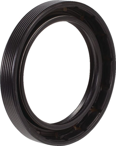 SDF Dichtring hinten 215290790