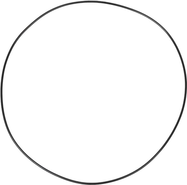 Spicer Dana O-Ring 001051119