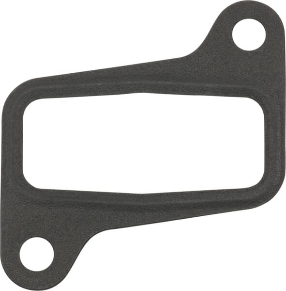 SDF Einlassdichtung 001778100