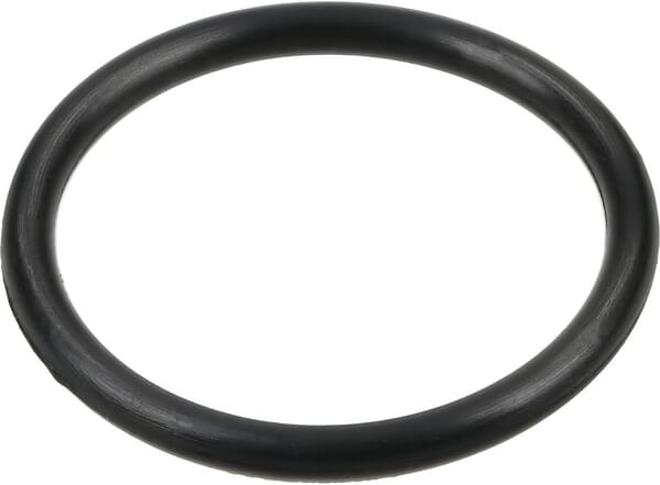 O-Ring 12100037
