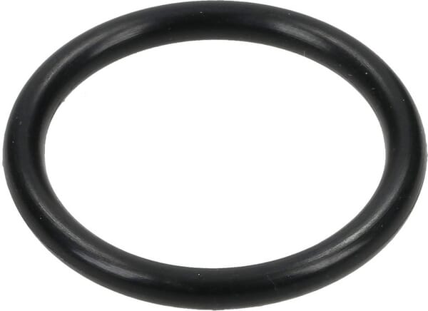 O-Ring 20,7 x 2,62 12100002