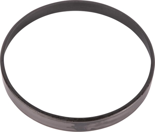 Spicer Dana Ring 000139307