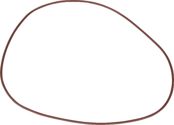 SDF Bremse O-Ring 215391790