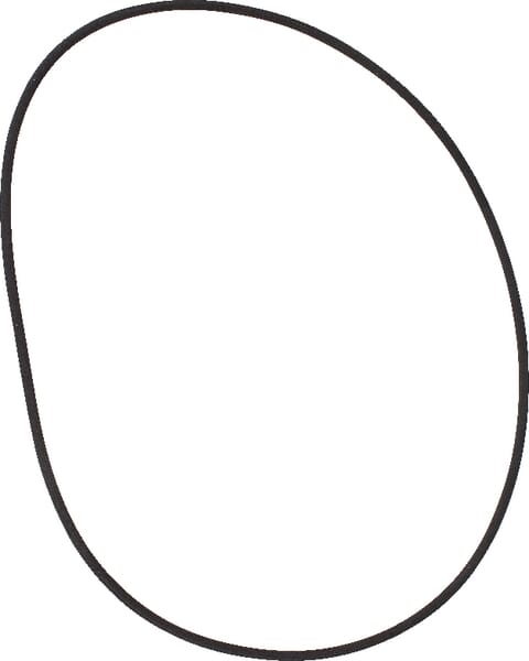 SDF O-Ring Bremse 215322870