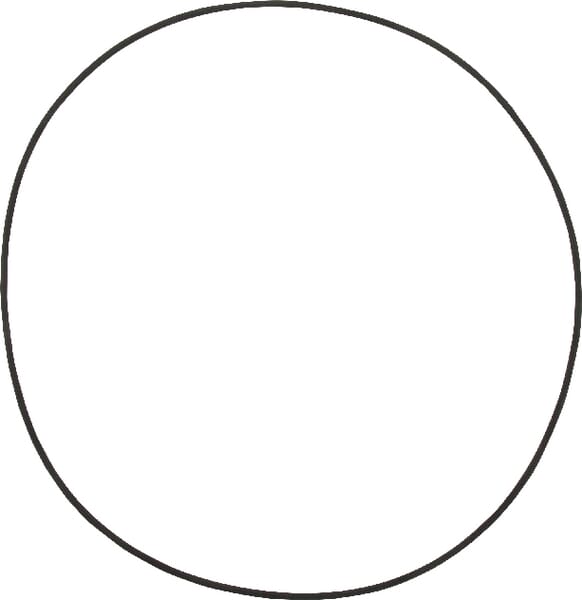 Spicer Dana O-Ring 001051037