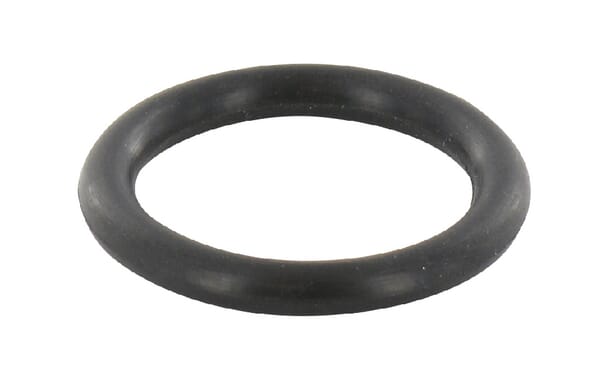 O-Ring 12100020