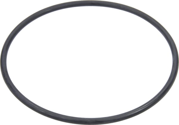 O-Ring für Kugel 2" 318100040