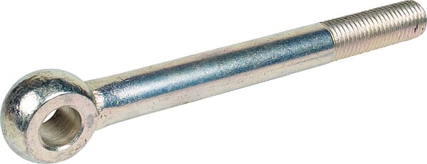 Augenschraube BM20x200-8.8 D2 3010882