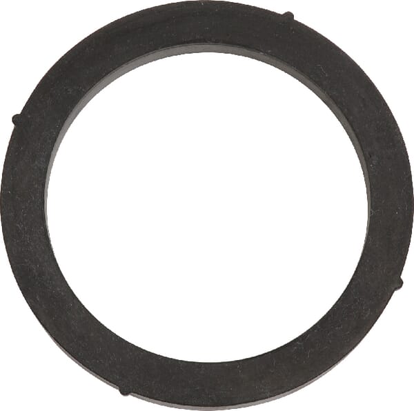 Dichtung 2" + RIB M201G