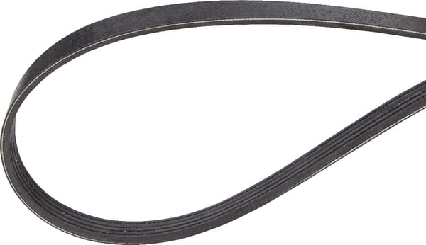SDF Keilriemen 241191380