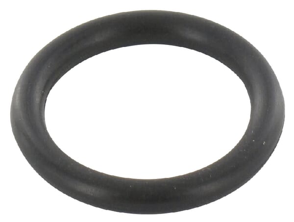 Dichtring 12100021