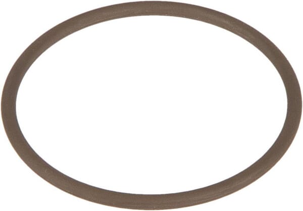 Dichtung Viton CP77172229VI