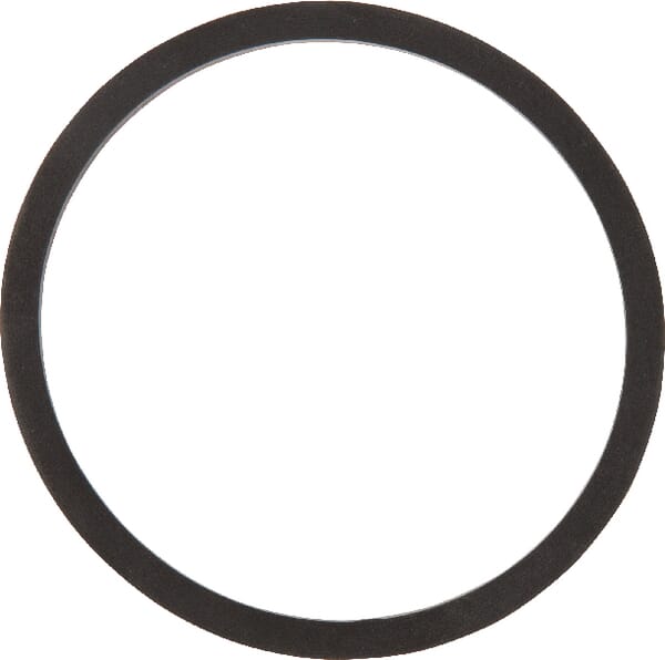 Dichtung Viton CP12291VI